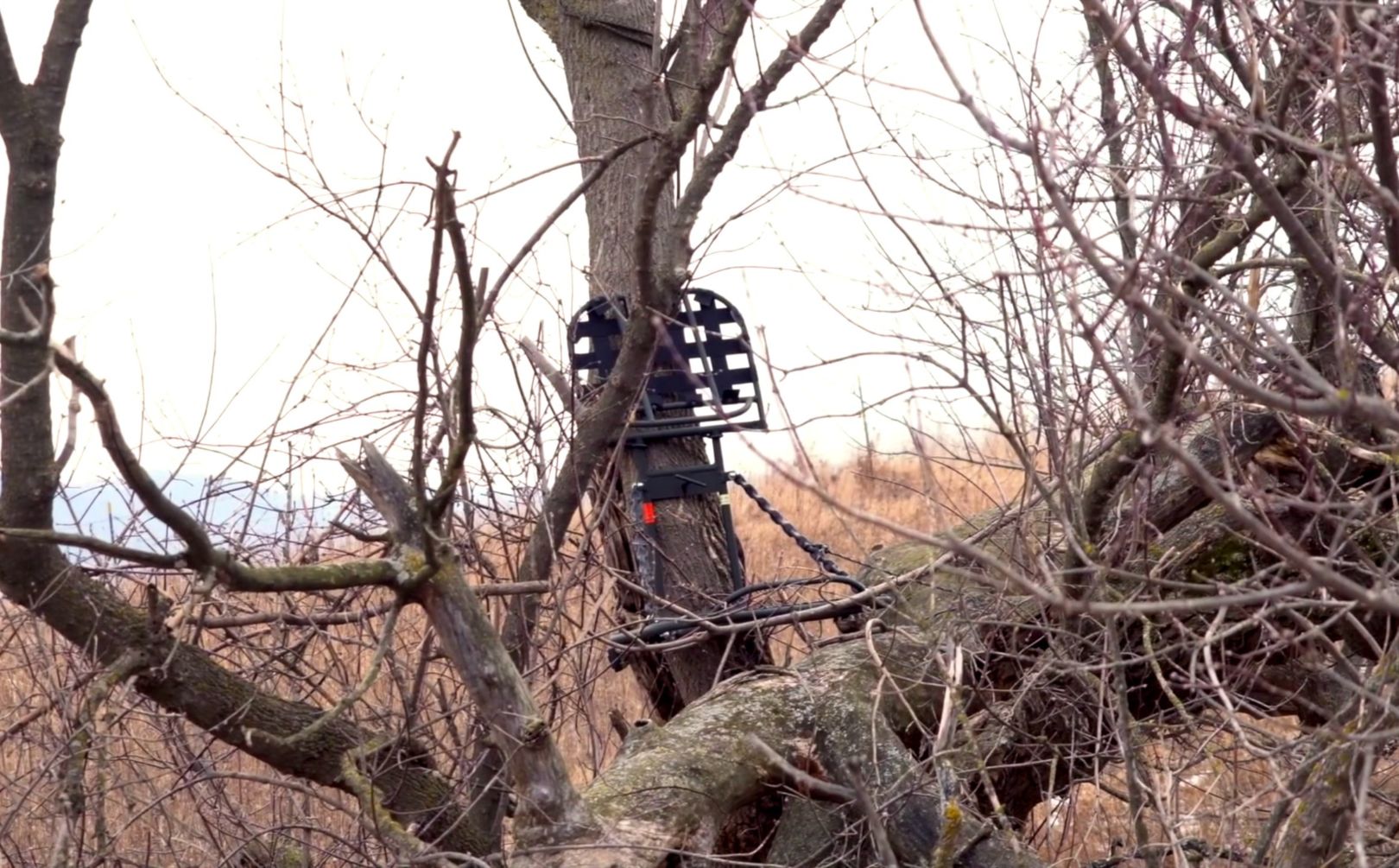 treestand entrance