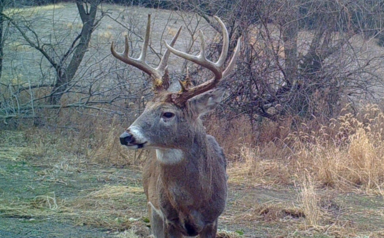 Deer Movement Chart 2017 Missouri