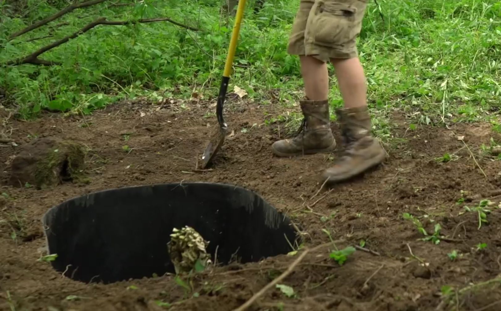 whitetail waterhole strategy