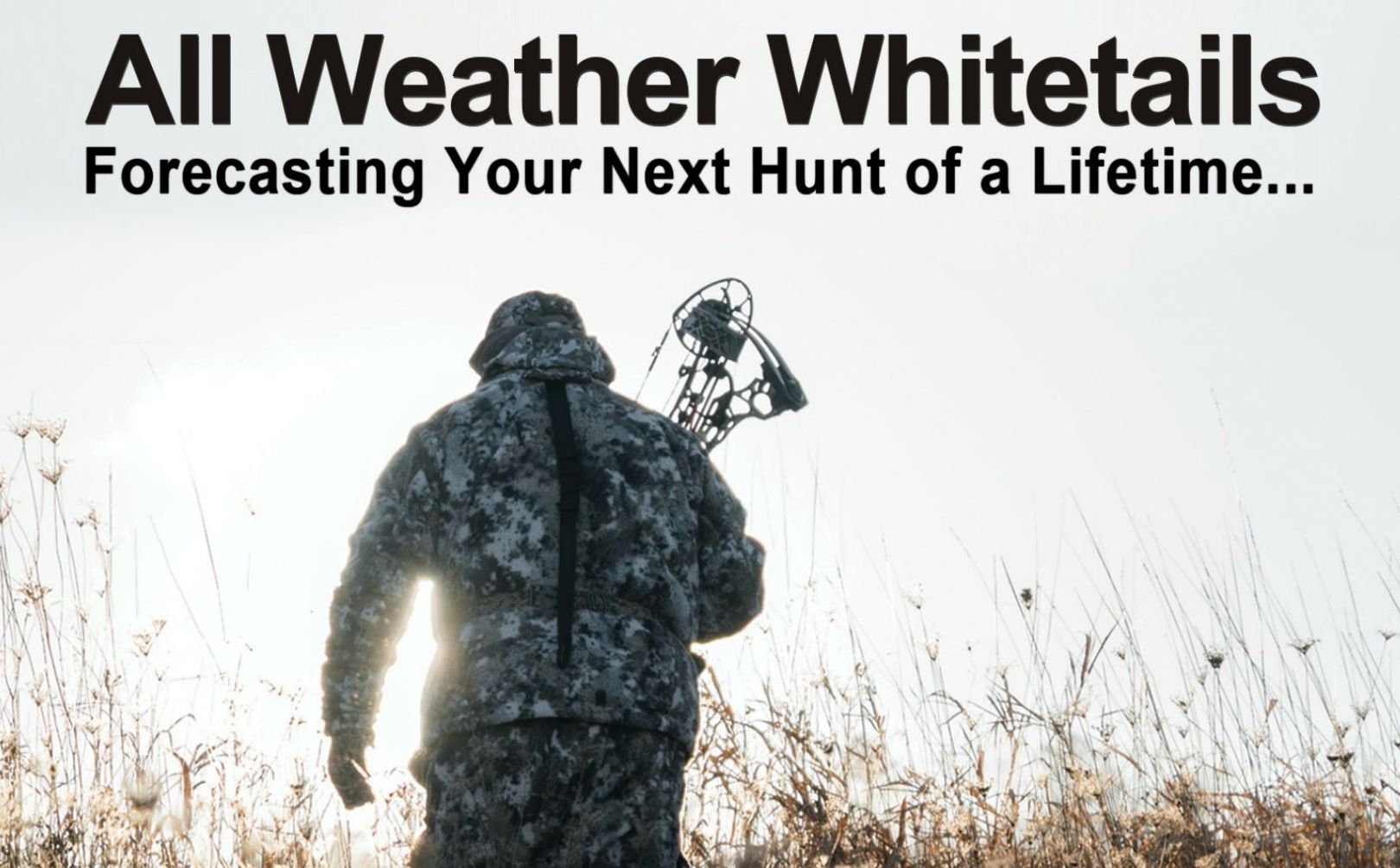 All Weather Whitetails