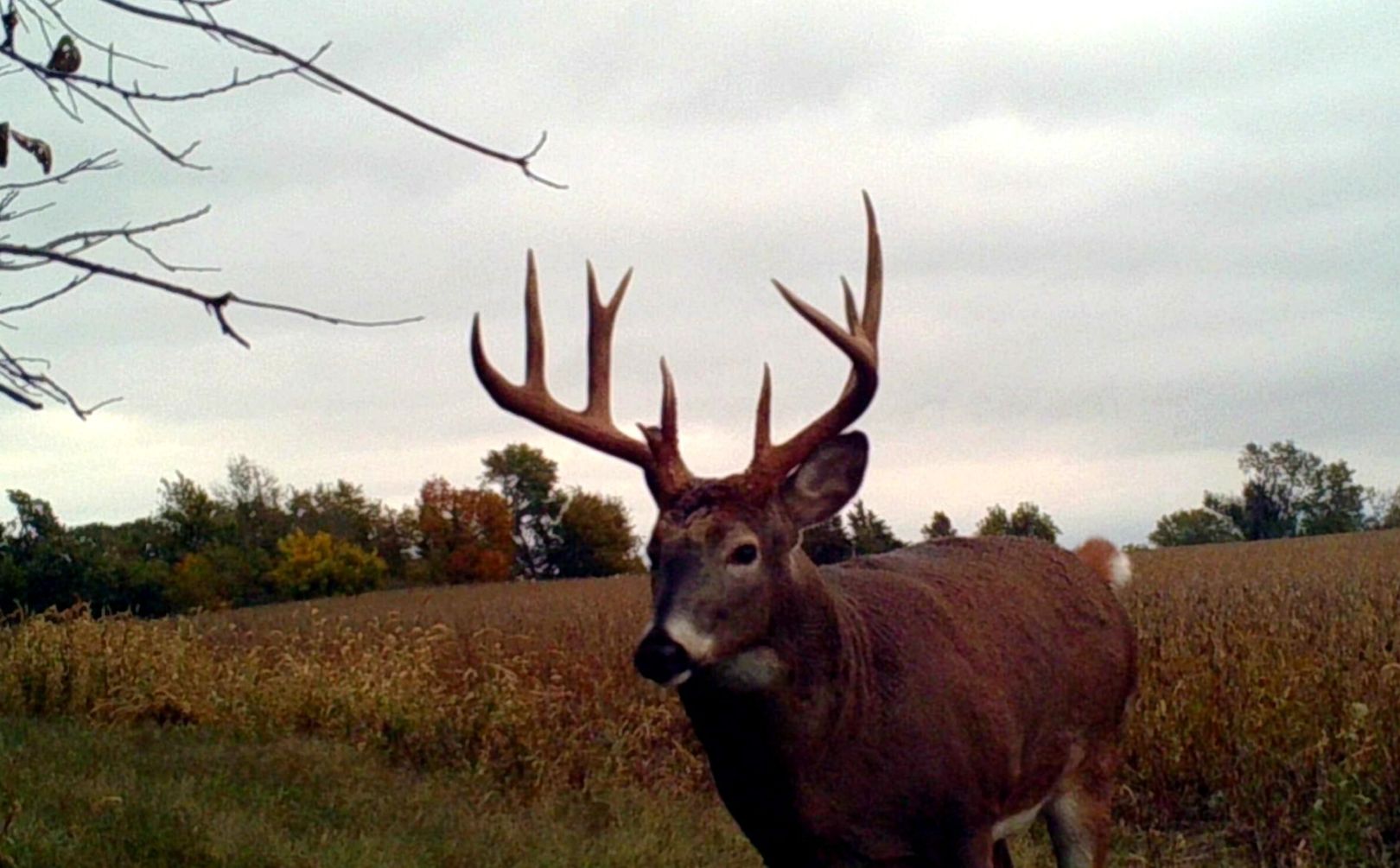 rut started yet