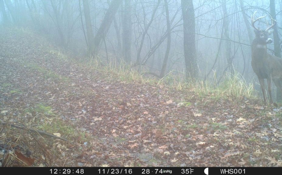 2017 advanced trail cam