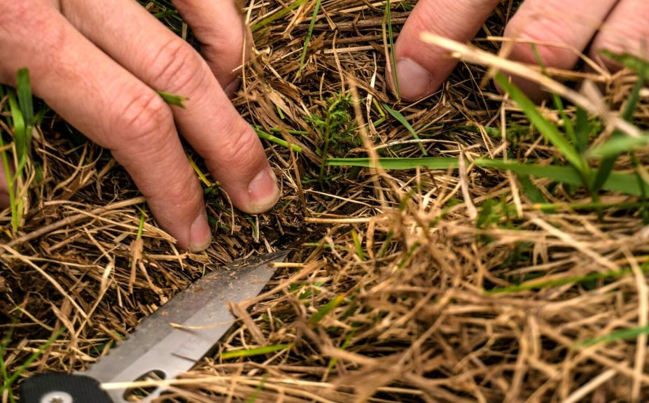 food plot planting methods