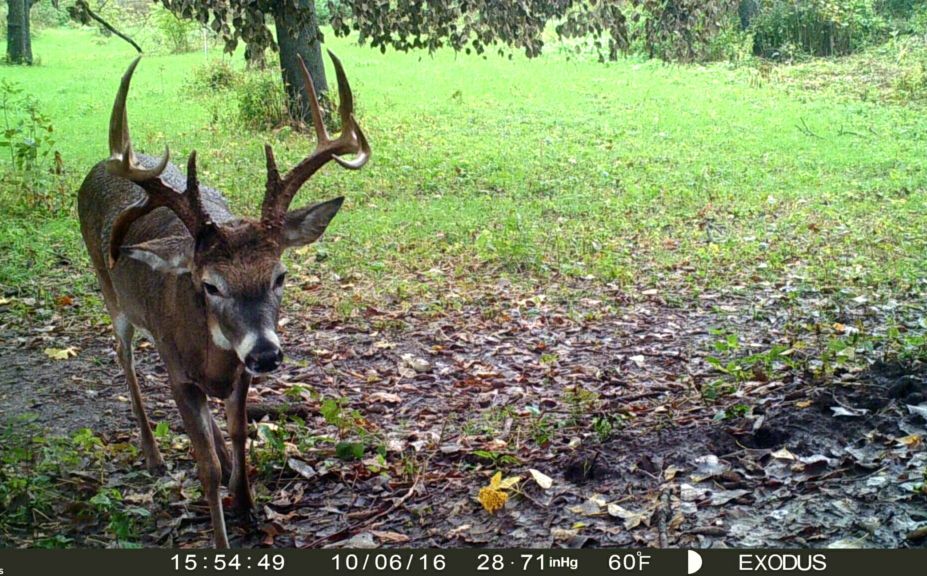 deer hunting in the rain