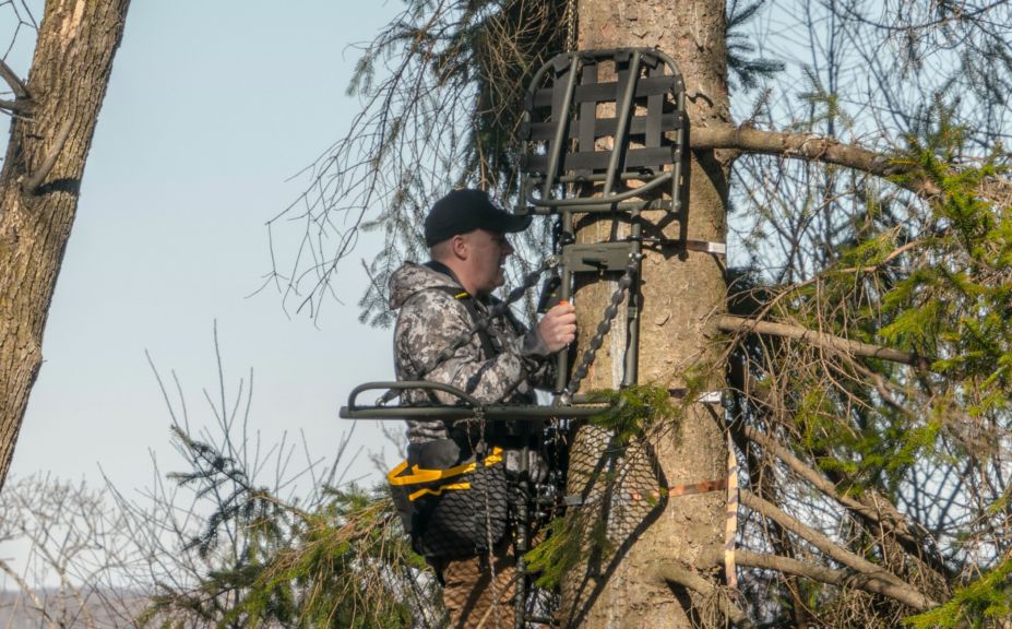 2017 whitetail rut