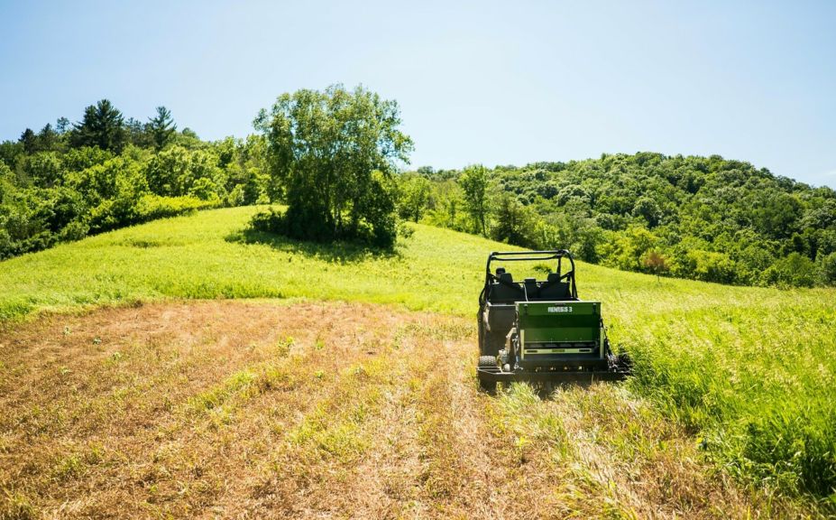 creating a food plot