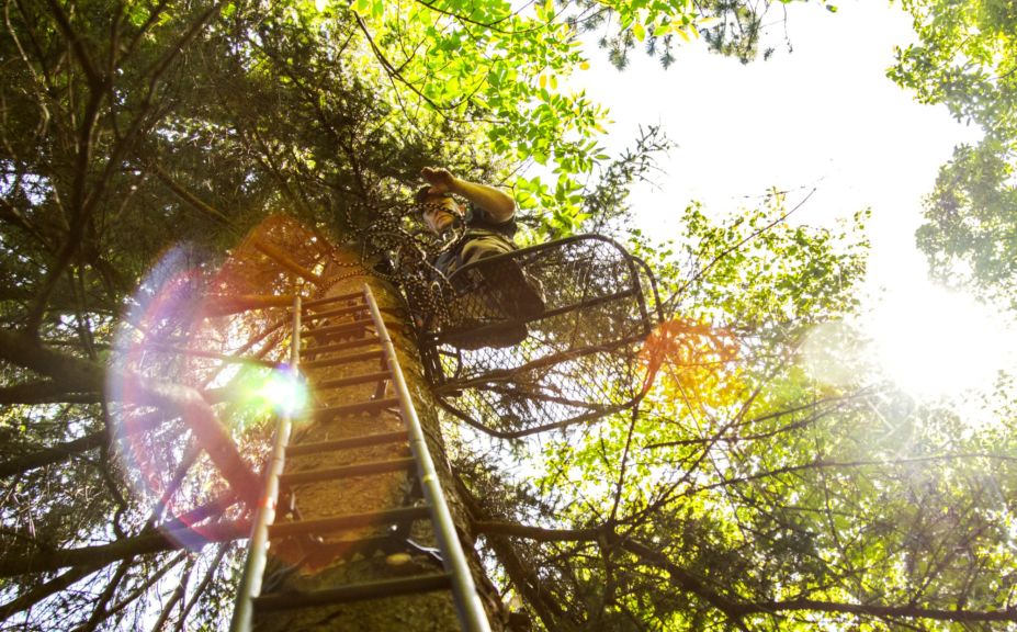 treestand shooting tips