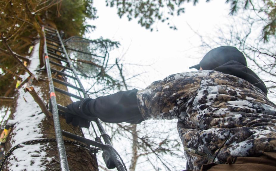 treestand tactics for whitetails
