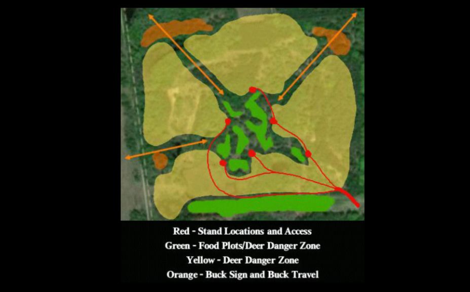 food plot strategy for mature bucks