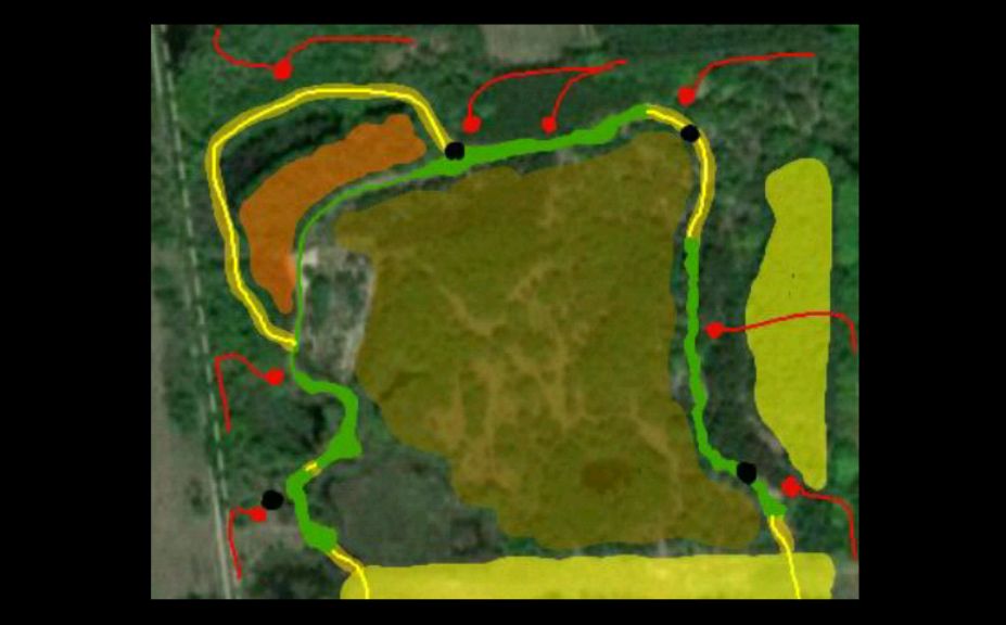 food plot strategy for mature bucks