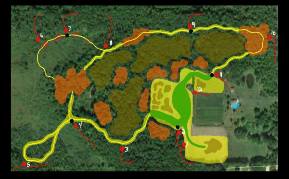 food plot tips