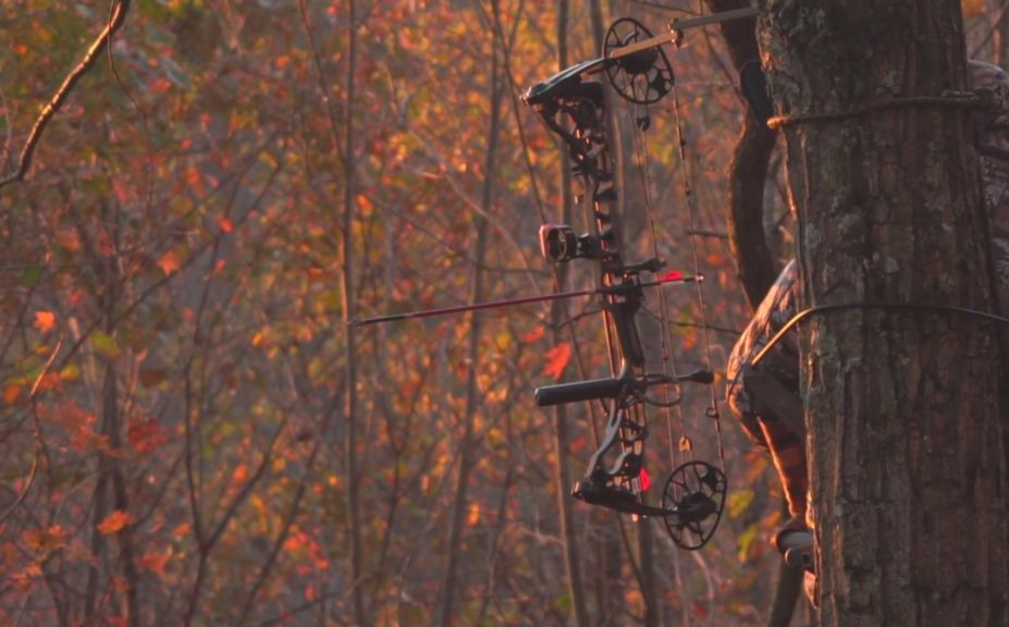 public land buck bed