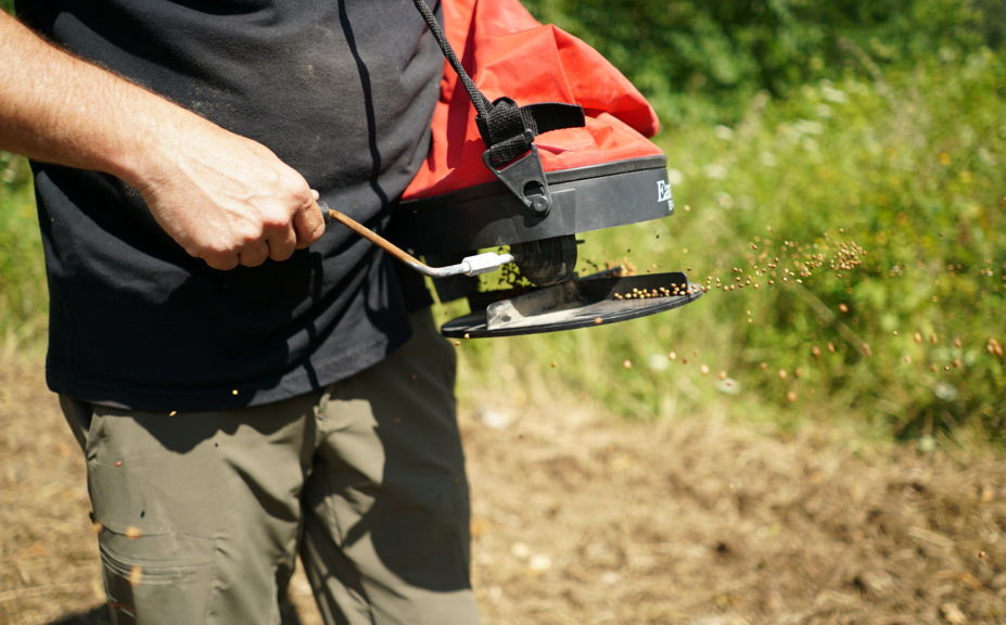 creating a food plot