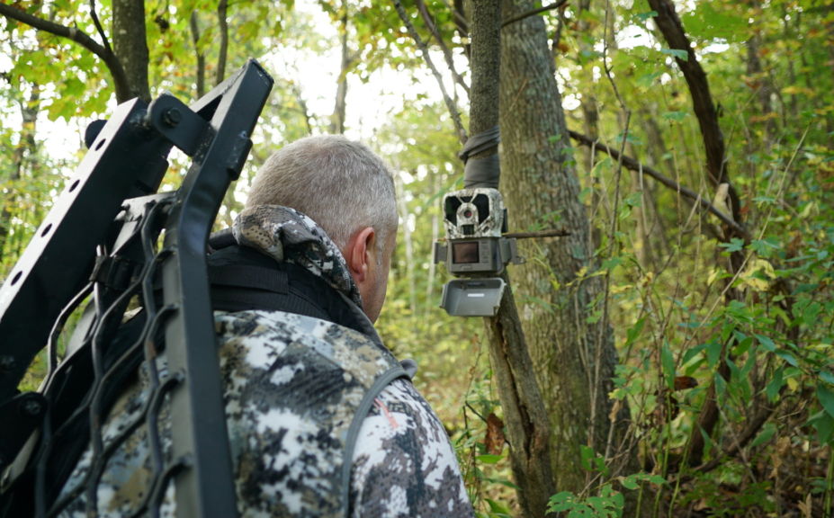 september bowhunting strategies