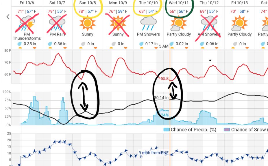 whitetail weather forecast