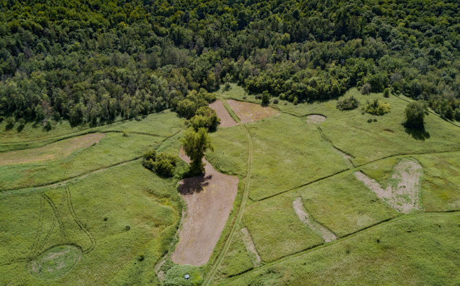 hidden food plots