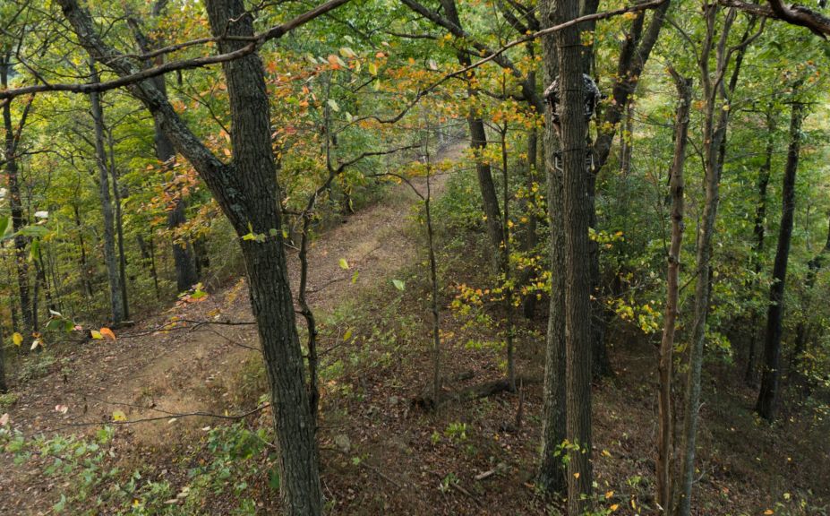 whitetail rut stand locations