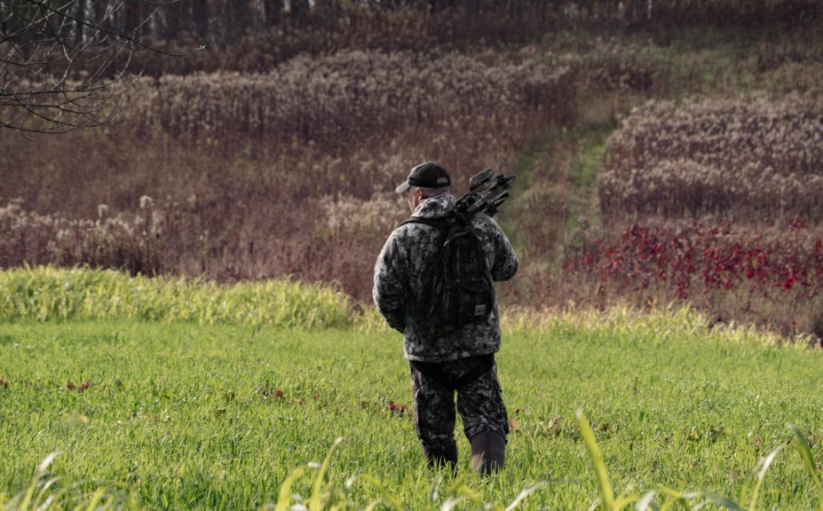 attracting deer herds