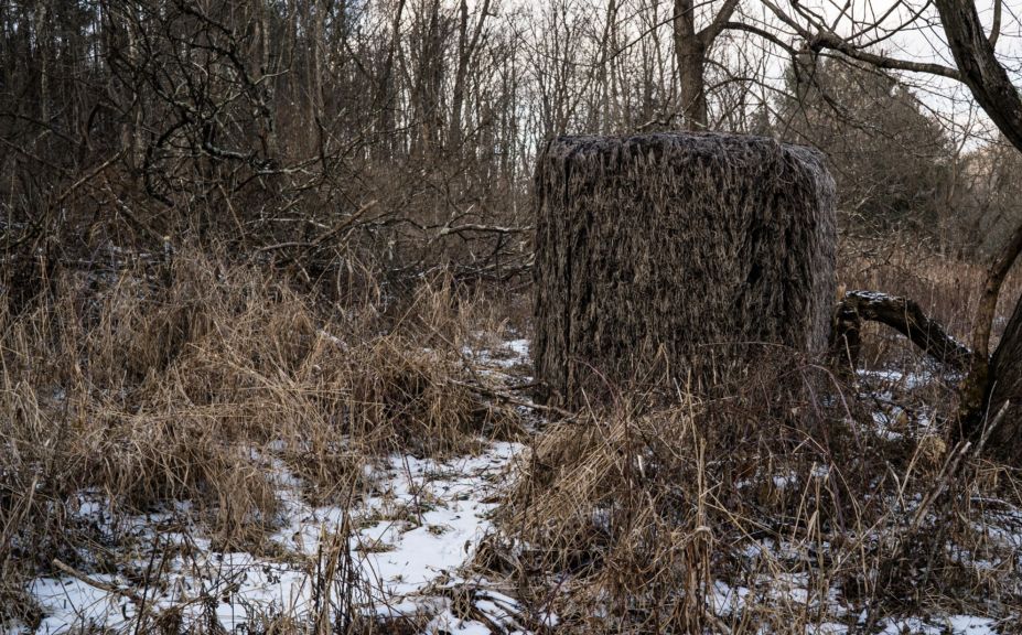 deer to food plots