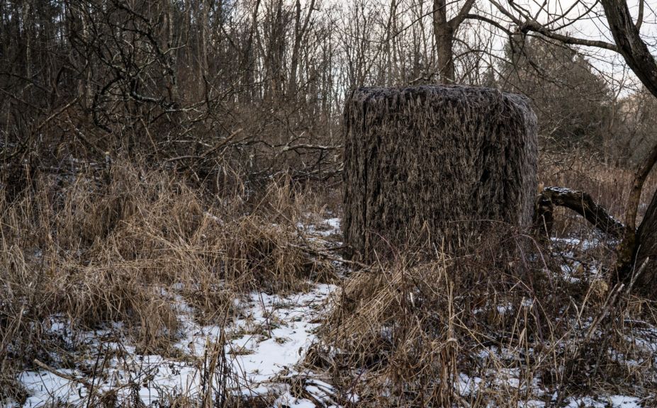 deer to food plots