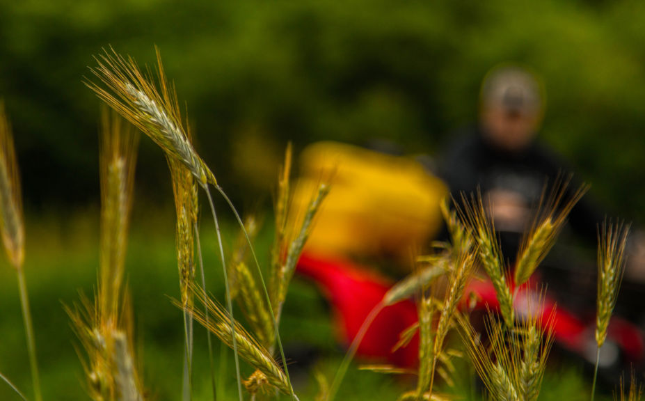 food plots for small parcels