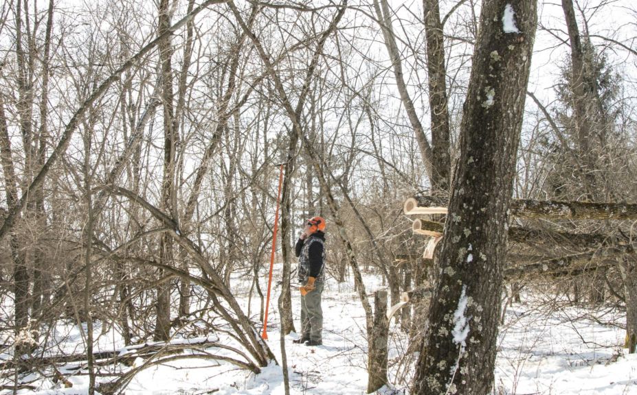 chainsaw bowhunting setups