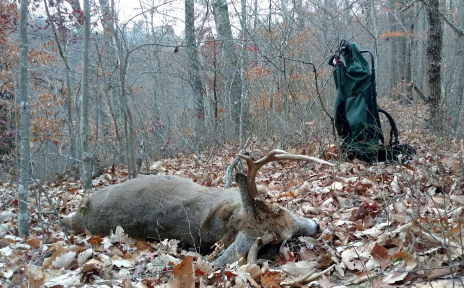 cold front deer hunting