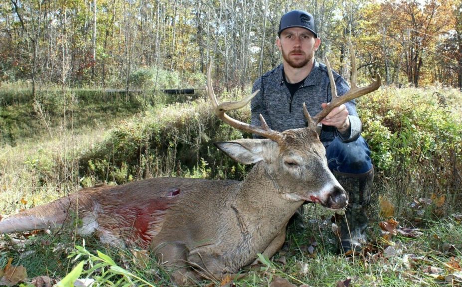 deer cover and food