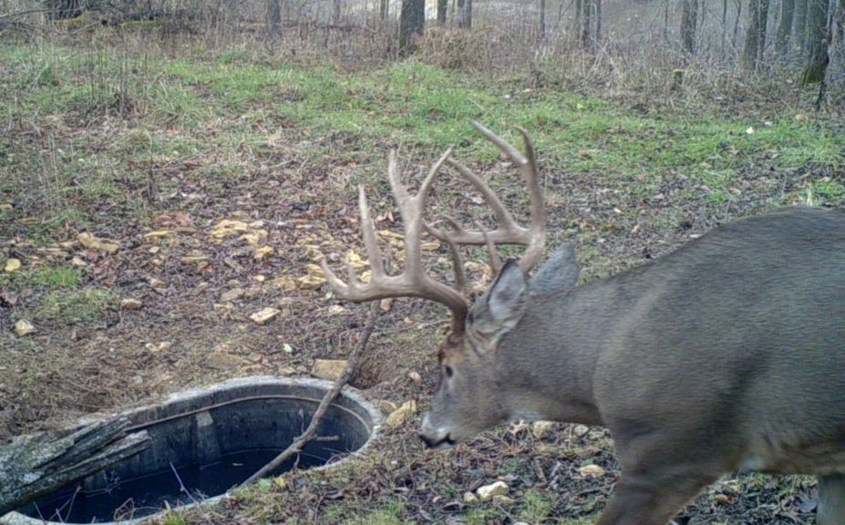 cold front deer movement