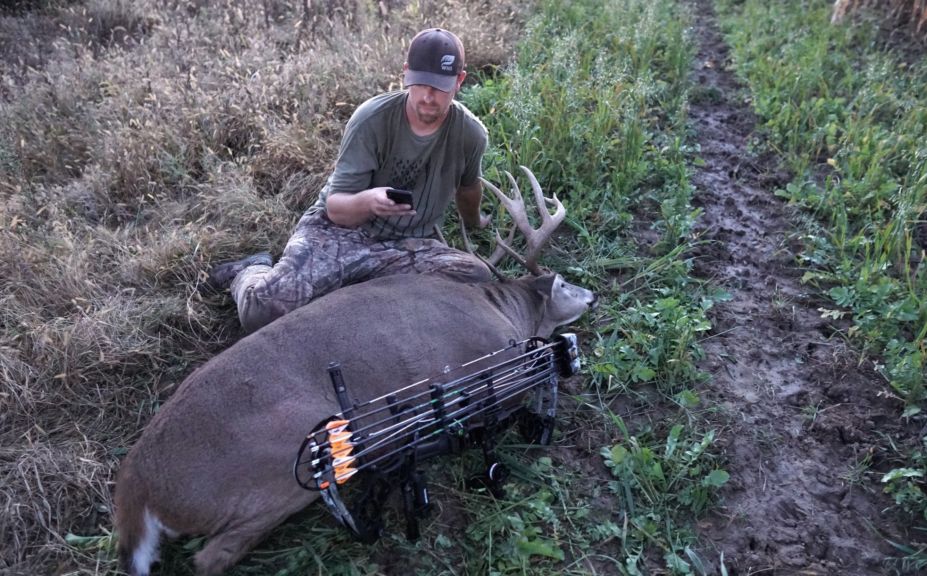 early season target buck