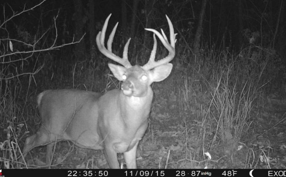 trail cam tip