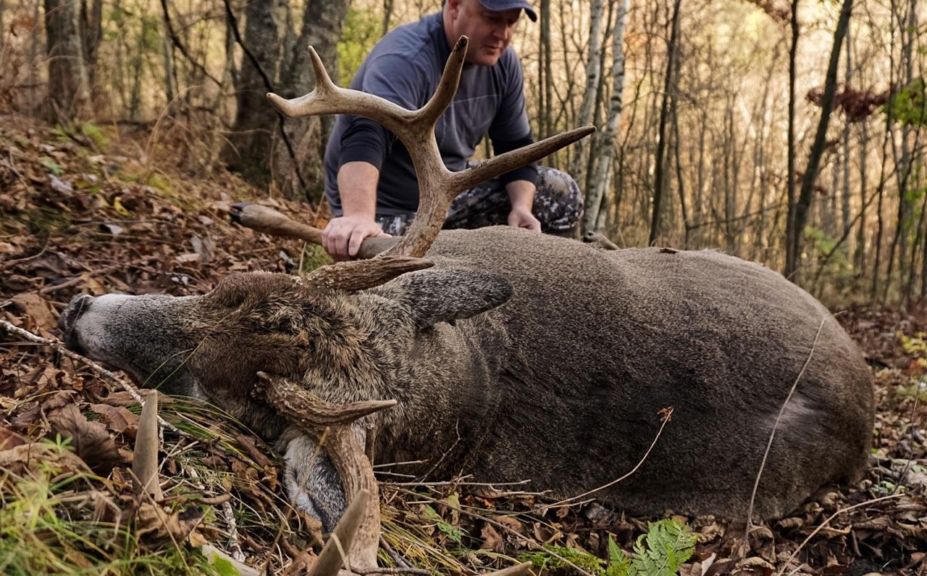 hunt for a target buck