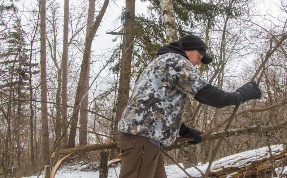 hide in a treestand