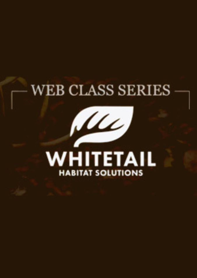 Hills & Thermals Whitetail Hunting Web Class