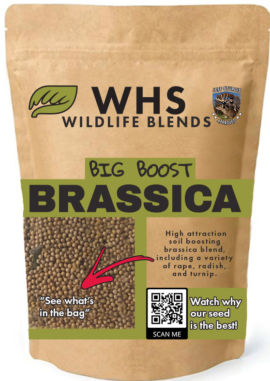 WHS BRSSICA Bag